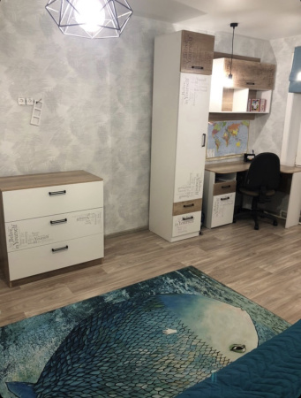 Шкаф коллекции Твой Стиль (с принтом) гл. 479 мм от Династия Kids